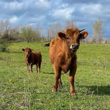 Ferme De La Garrigue *