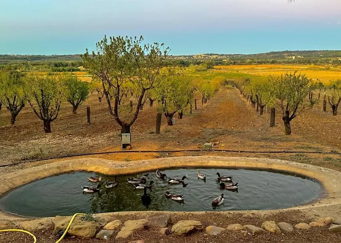 Дом отдыха Ferme De La Garrigue *